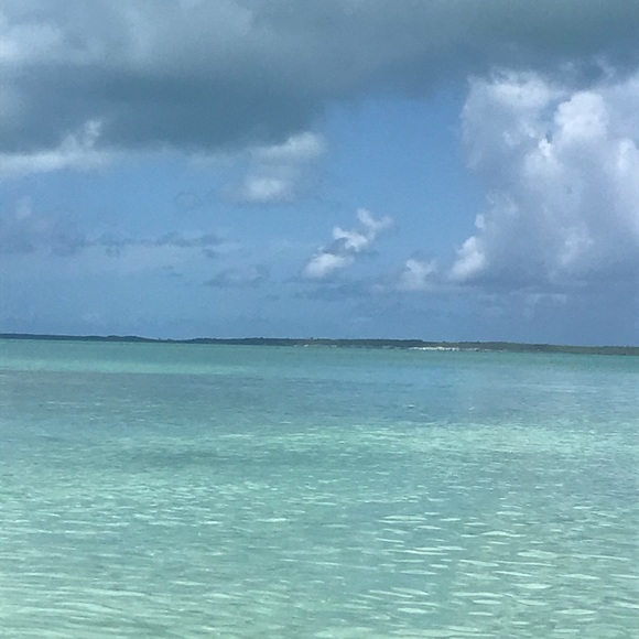 Meet your Posher, Celia - Picture 1 of 1